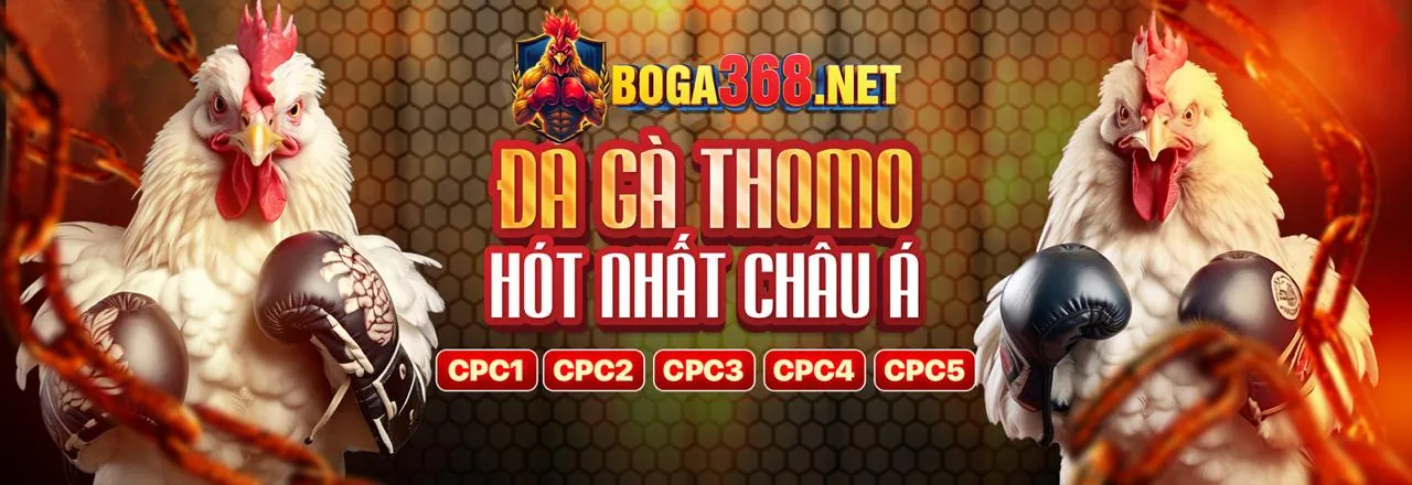 Đá gà c1688 nhà cái